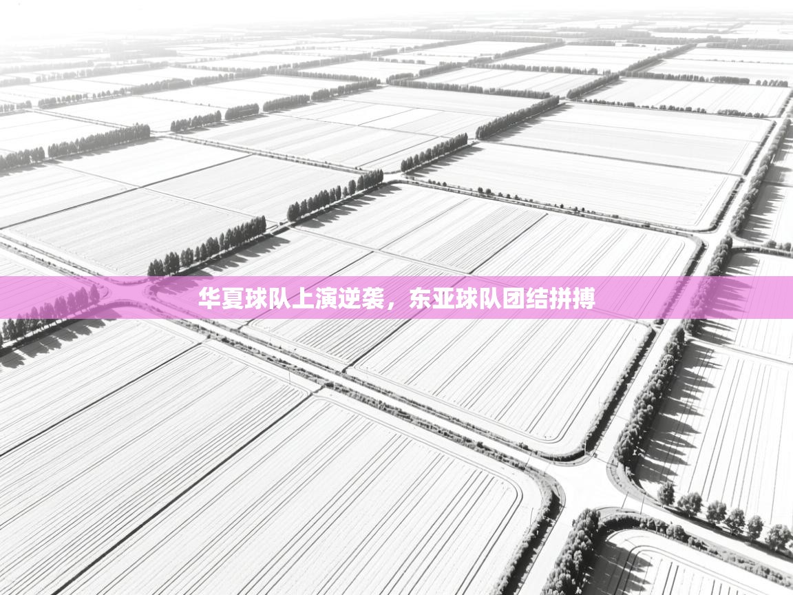 华夏球队上演逆袭，东亚球队团结拼搏  第1张