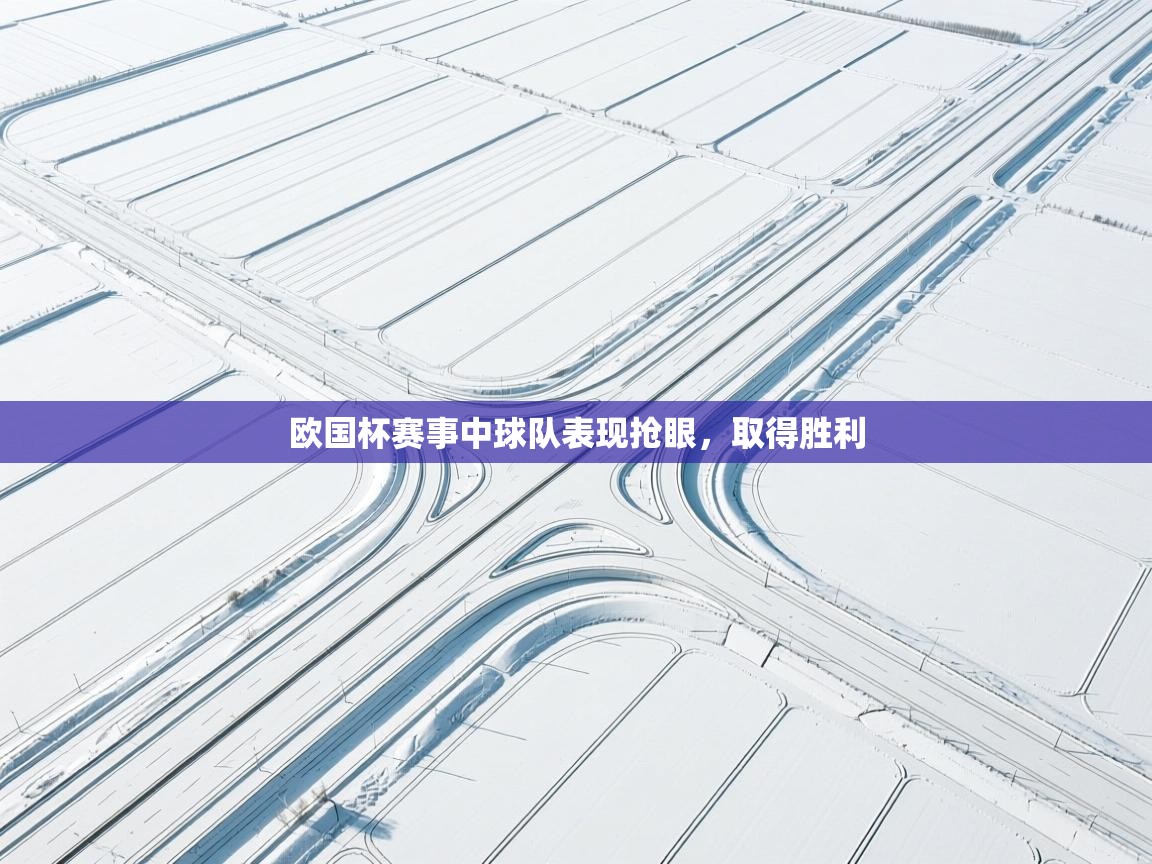 欧国杯赛事中球队表现抢眼，取得胜利  第2张