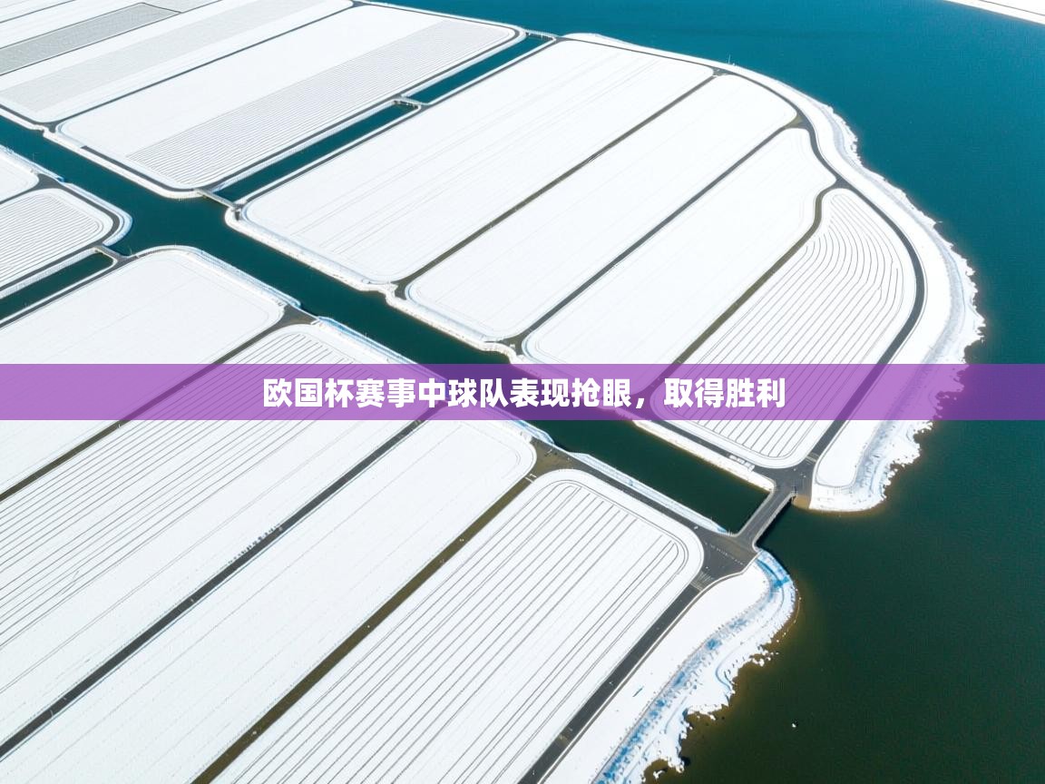 欧国杯赛事中球队表现抢眼，取得胜利  第1张