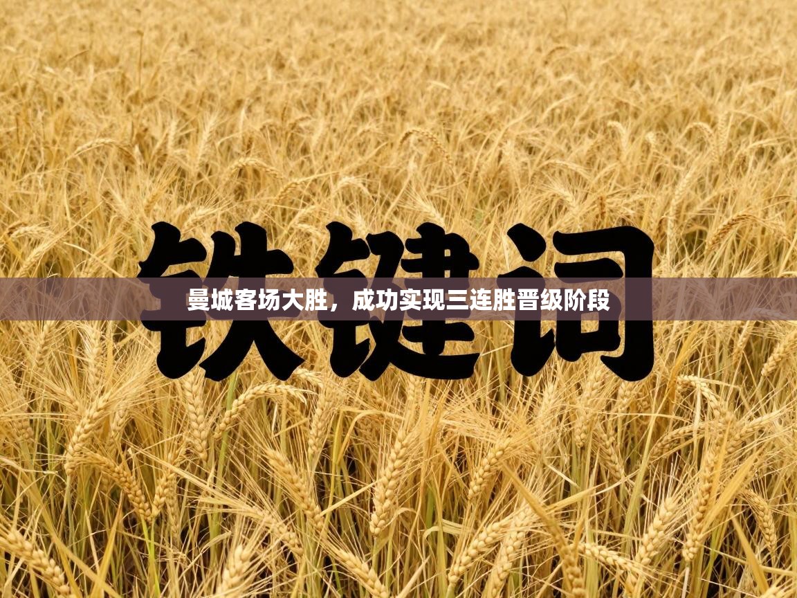 曼城客场大胜，成功实现三连胜晋级阶段