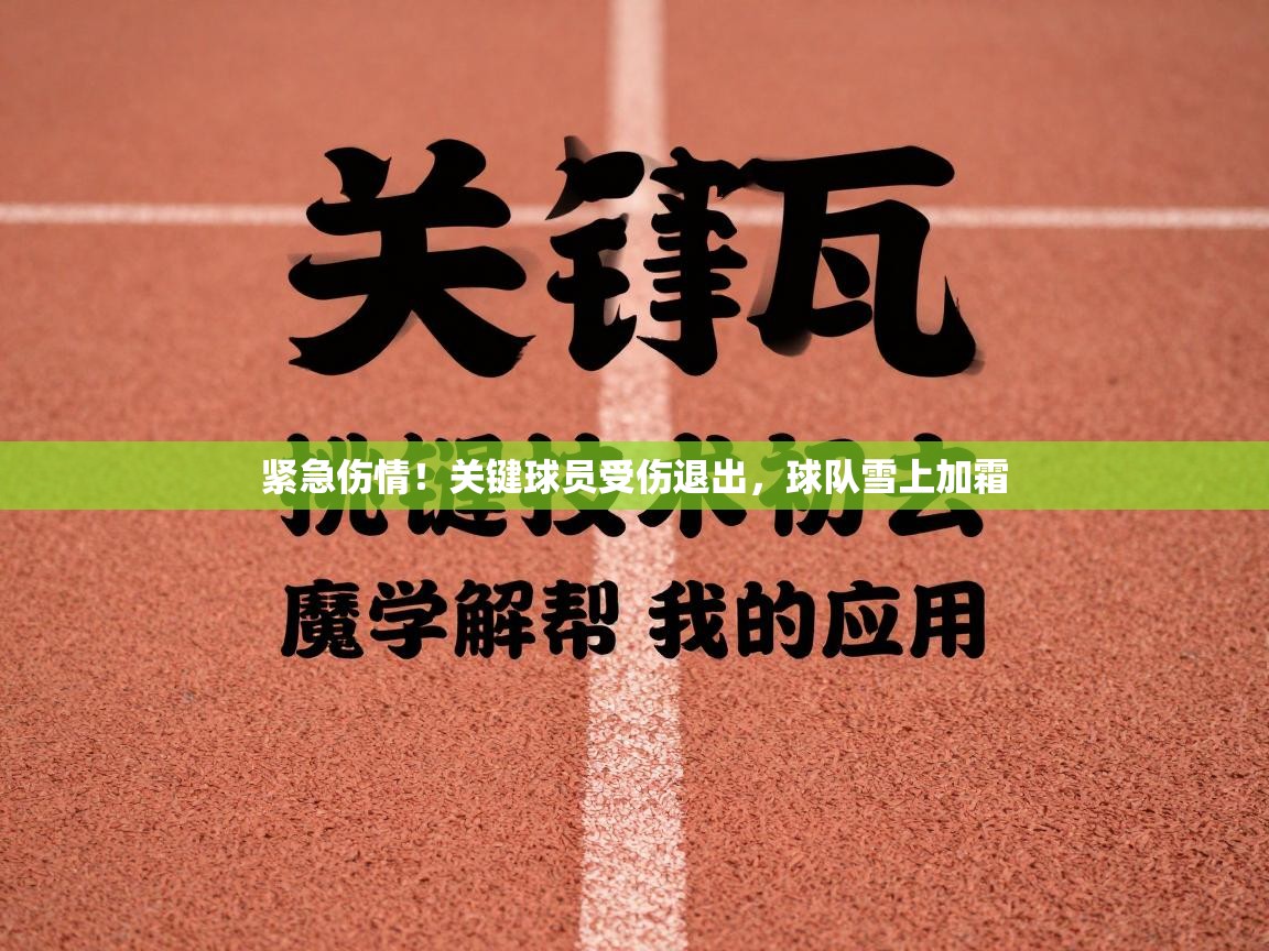 紧急伤情！关键球员受伤退出，球队雪上加霜  第1张