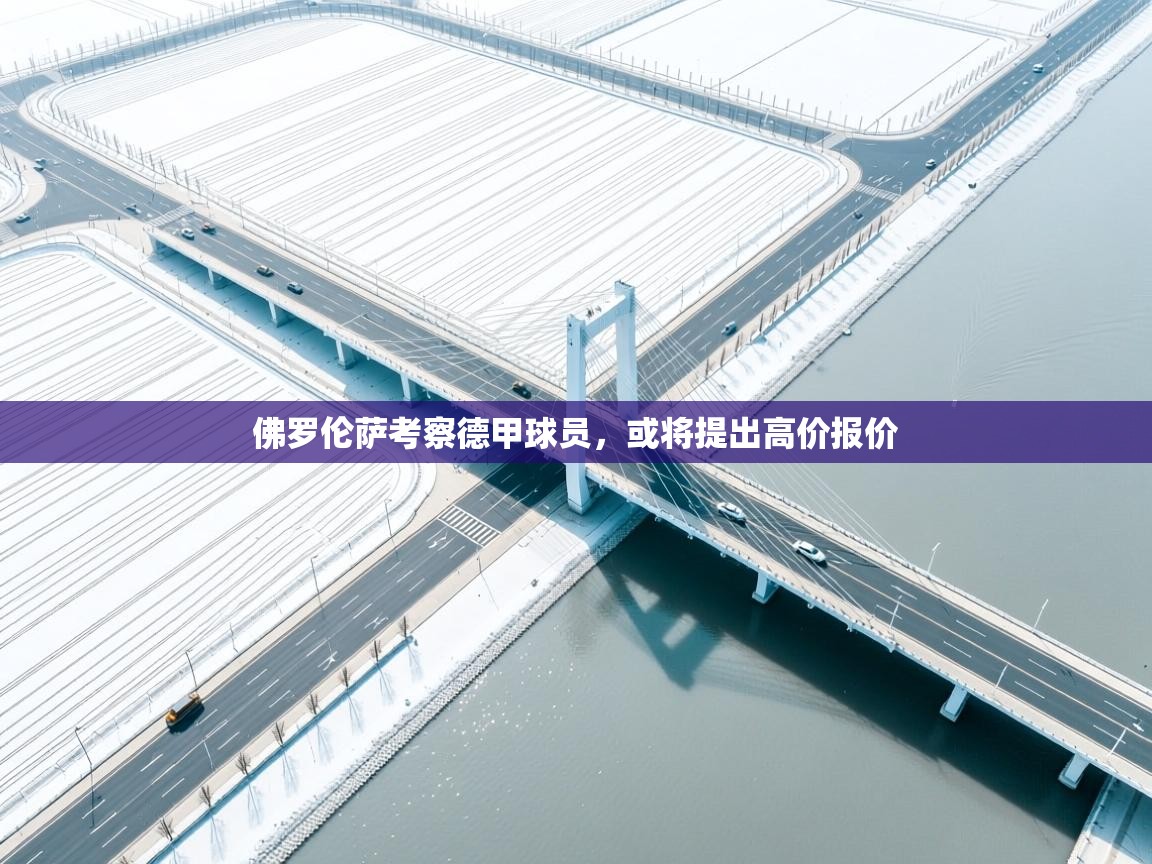 佛罗伦萨考察德甲球员，或将提出高价报价  第2张