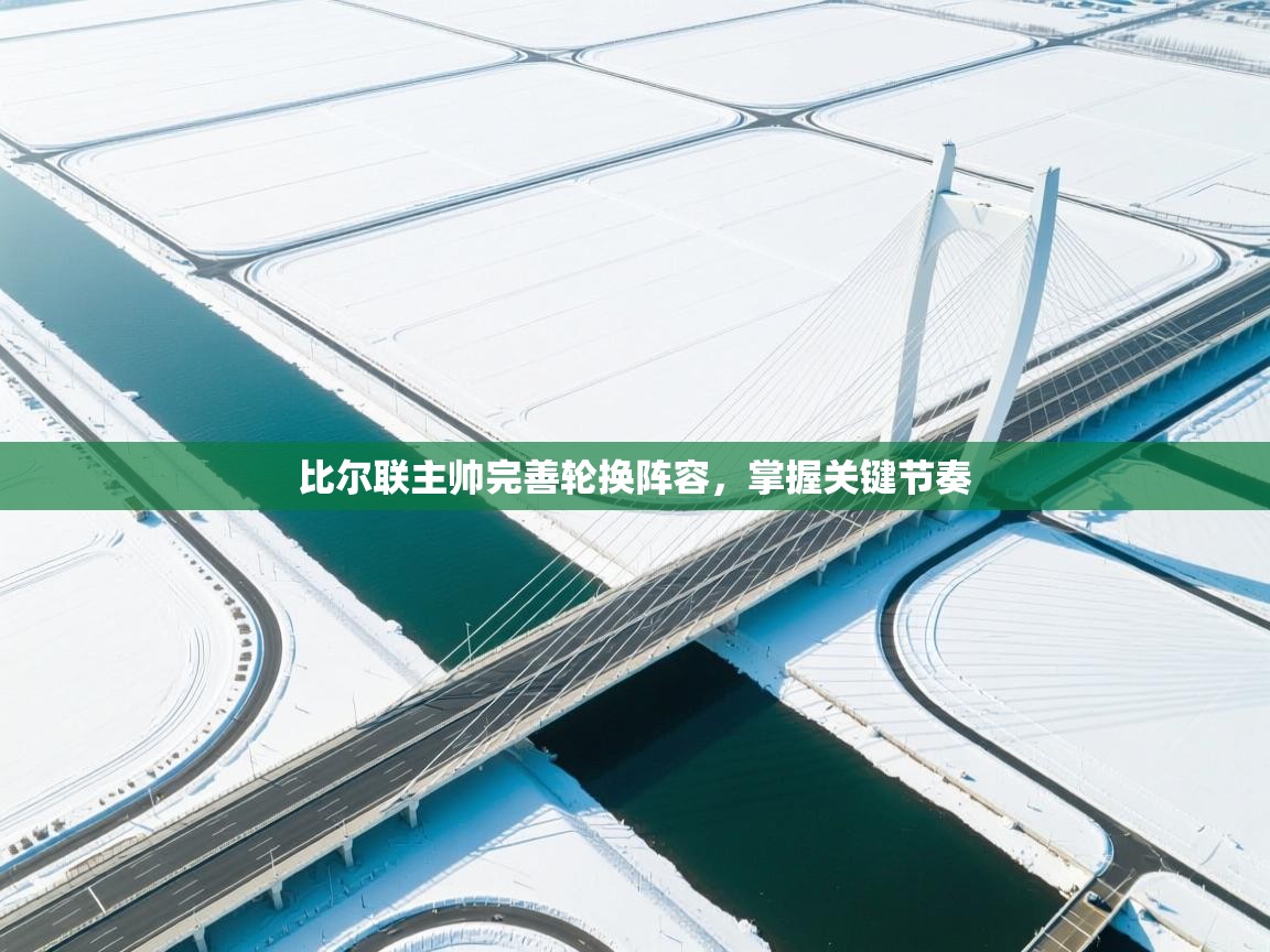 比尔联主帅完善轮换阵容，掌握关键节奏  第2张